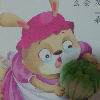 兔奶奶的包心菜图片图片