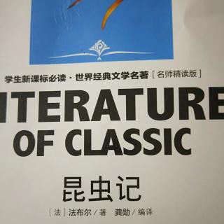 昆虫记(舍腰蜂)