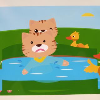 小猫咪咪落水记图片图片