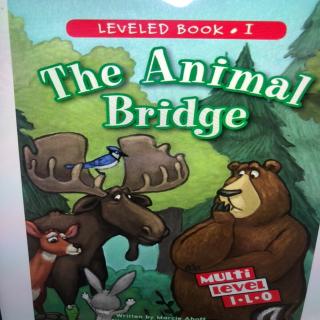 The Animal Bridge