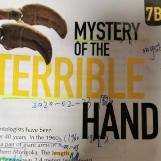 Mystery of the terrible hand