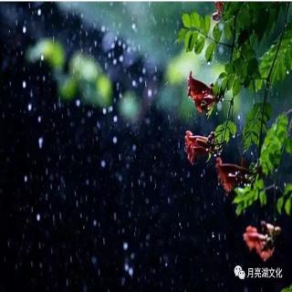 【古诗】《春夜喜雨》唐·杜甫