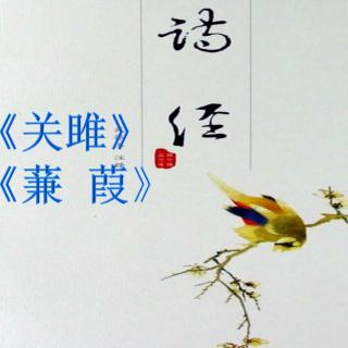 《关雎》《蒹葭》   定边二中   畅紫涵