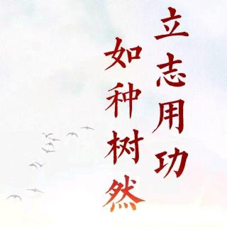 千人糕-杨宇轩