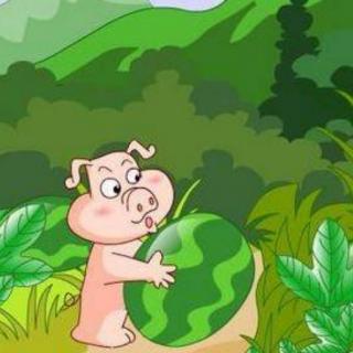 今天豆豆老师给大家带来的绘本故事是《小猪搬西瓜》