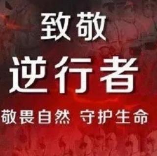 李老师讲“抗疫英雄”故事7