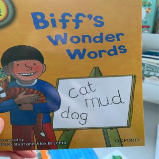 牛津树一阶Biff’s Wonder Words