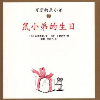 25《鼠小弟的生日》