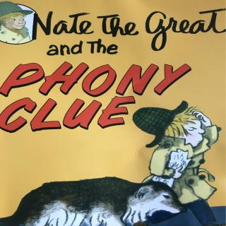 nate the great-phony clue