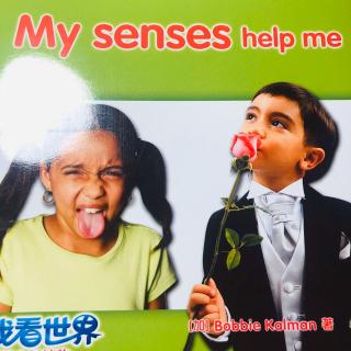 我看世界 4 my senses help me