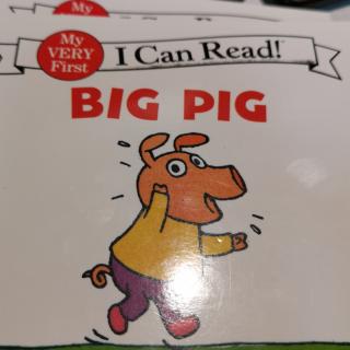 big pig