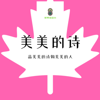 美美的诗丨（节选玛丽·奥利弗《黑水塘》）郁青播音台出品