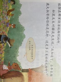 开满鲜花的小路