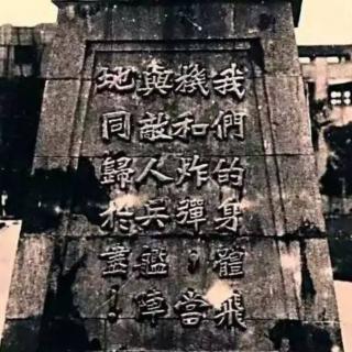 一寸河山一寸血03落日孤城1937~1938第一章鹰击长空