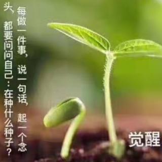 《因果法则》第四讲（上）