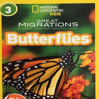 Great Migrations Butterflies
