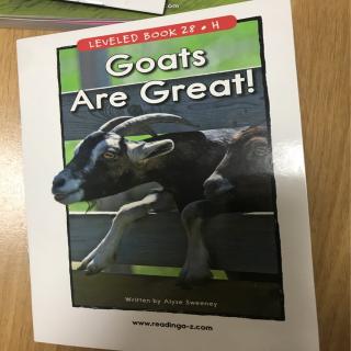 20200227 Goats are Great. RAZ H