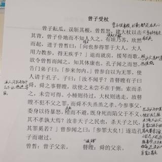 王子元读曾子受杖