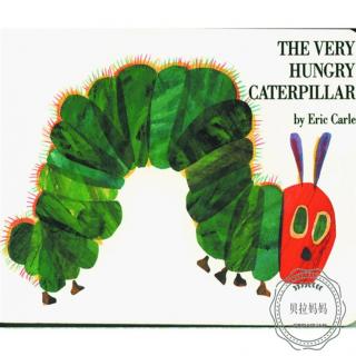 【磨耳朵第七周】The Very Hungry Caterpillar