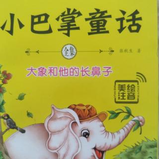 兔子家的方格子地砖