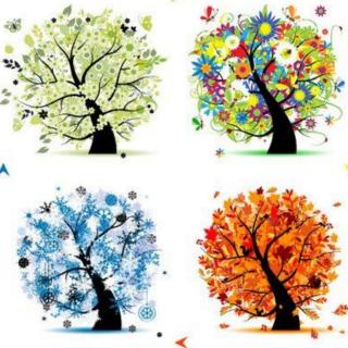 四季妈妈的四个娃娃