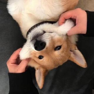 【看看】在线收听_ravi95的播客_荔枝