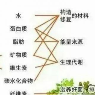 我们要明白，“生病”是怎么回事？