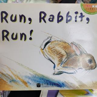 Run，Rabbit，Run