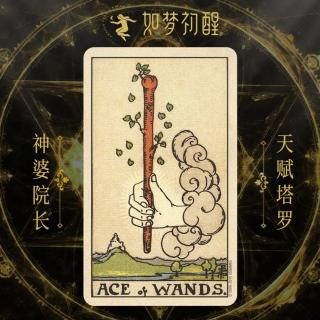 韦特塔罗牌-权杖王牌  (Ace of Wands)