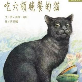 洲阳晚安故事《吃六顿晚餐的猫》