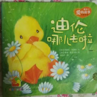 《迪伦🐥哪去了》可爱的小迪伦（暖房子🏠）