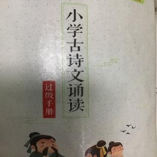 城南   画眉鸟