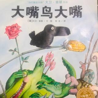 大嘴鸟大嘴🐦