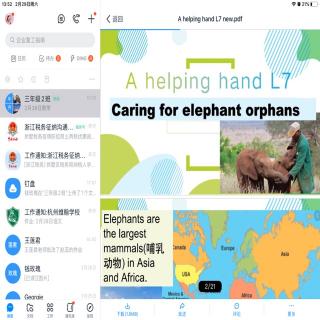 caring for elephant orphant