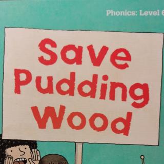 牛津6——Save pudding wood