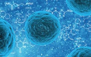 18.探索干细胞在新冠肺炎中的应用