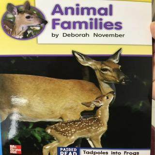 G2 On-Level U2W4 09 - Animal Families