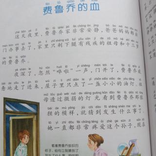 费鲁乔的血