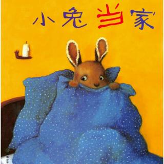 睡前故事🌙《小兔🐰当家》