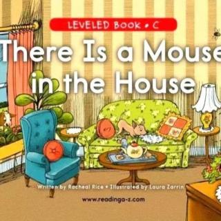 There is a mouse in the house