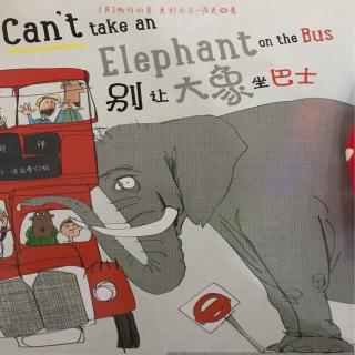 别让大象坐巴士🚌