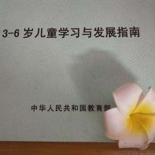 《3－－6岁儿童学习与发展指南》