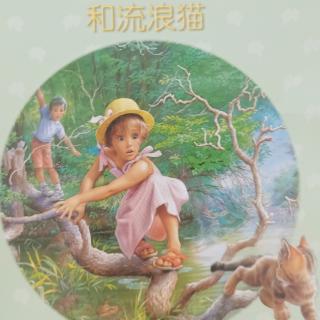 44.玛蒂娜和流浪猫