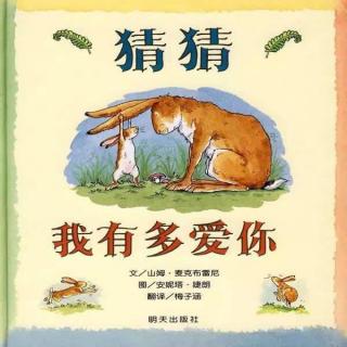 《猜猜我有多爱你》