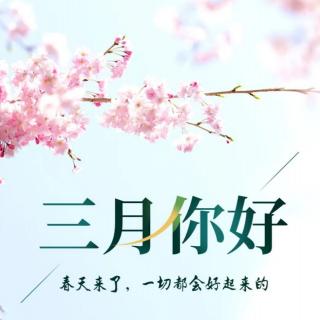 275.武汉的樱花    诵读：眉如远山