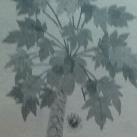 《 十岁那年》木瓜树