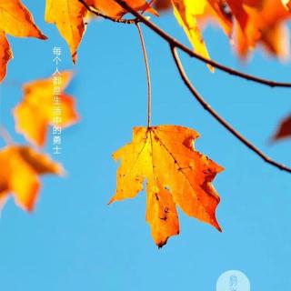 我是42号杨崔灏,这是阅读打卡第149天,2020年3月1日