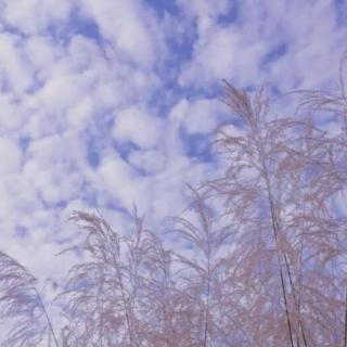 《最爱你的那十年》  他对自己都不曾这样问心无愧🌿