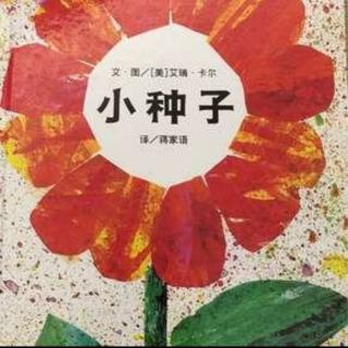 《小种子》——糖糖老师