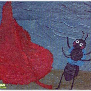 随心老师睡前故事-小蚂蚁🐜和小红叶🍂